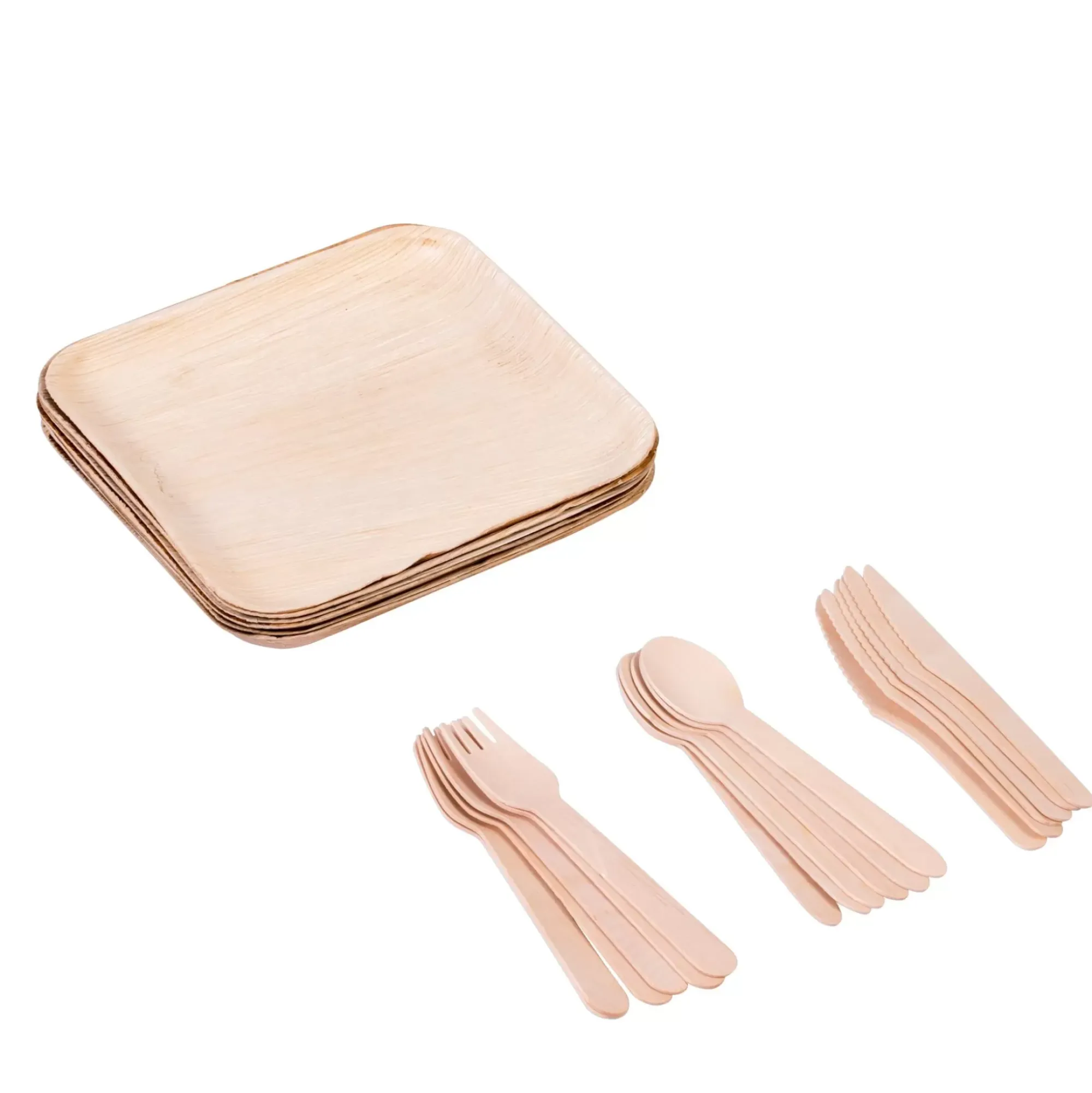 CASA Areca Leaf Platos 6 Unidades Con Cubierto Natural Best