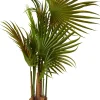 CASA Areca Palmera Verde Discount