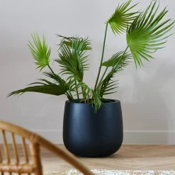 CASA Areca Palmera Verde Discount