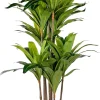 CASA Brazi Planta Verde Cheap