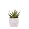 CASA Cement Planta Artificial Gris Best