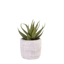 CASA Cement Planta Artificial Gris Best