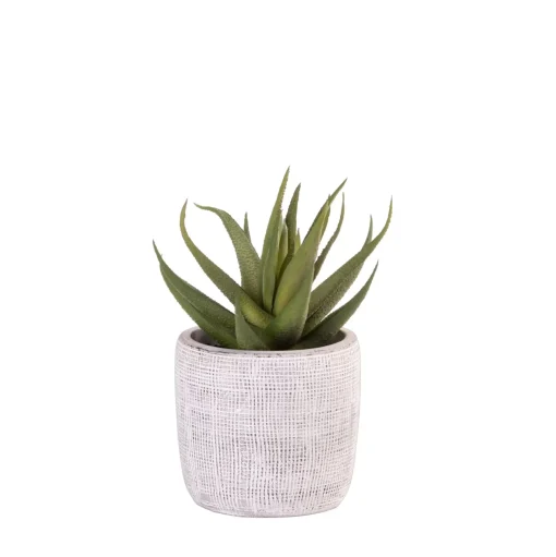 CASA Cement Planta Artificial Gris Best