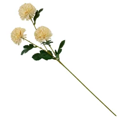 CASA Chrysanthemum Beis Outlet