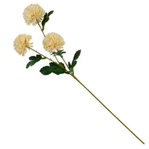 CASA Chrysanthemum Beis Outlet