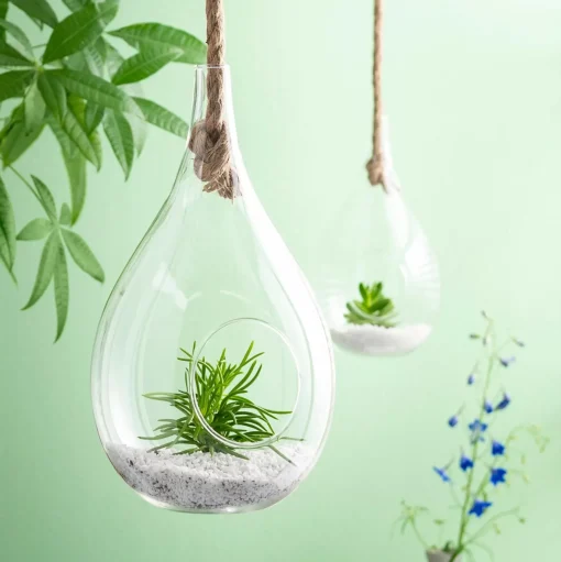 CASA Drop Gota De Vidrio Transparente Online