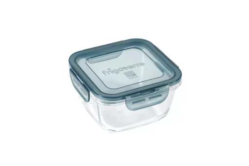 CASA Evolution Fuente Para Horno Con Tapa Gris, Transparente Discount