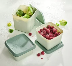 CASA Freezer Cajas Congeladoras Juego De 10 Menta, Verde Oscuro Flash Sale