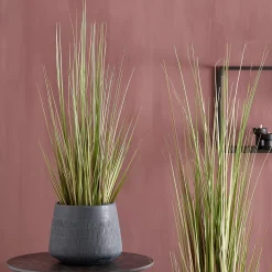 CASA Herba Hierba En Maceta Verde Discount