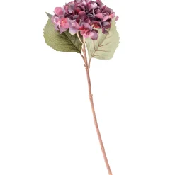 CASA Hydrangea Hortensia Burdeos Shop