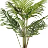 CASA Kwai Palmera Verde Cheap