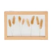 CASA Lagurus Decoracion De Pared Natural Outlet