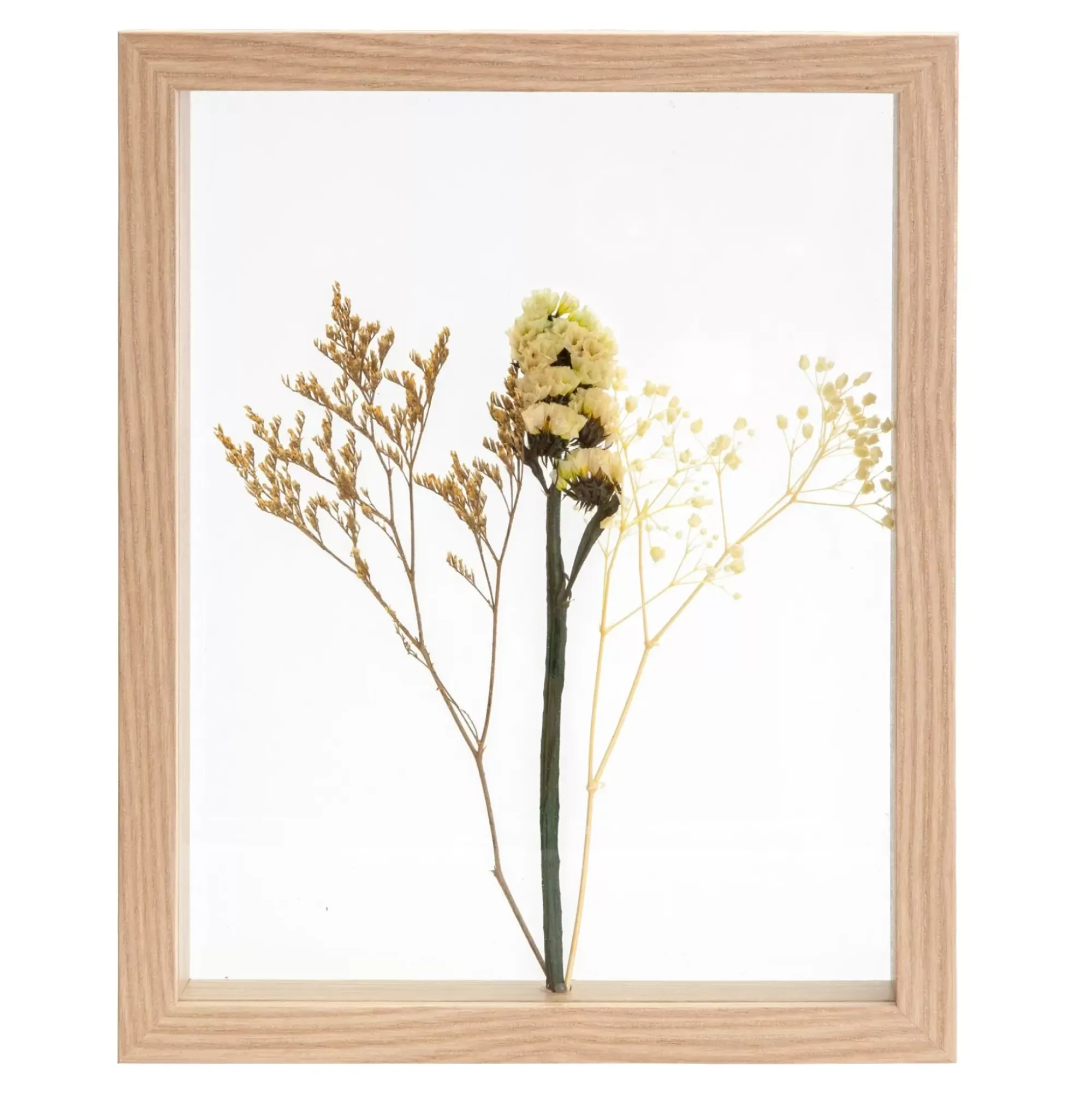 CASA Limonium Decoracion De Pared Natural Sale