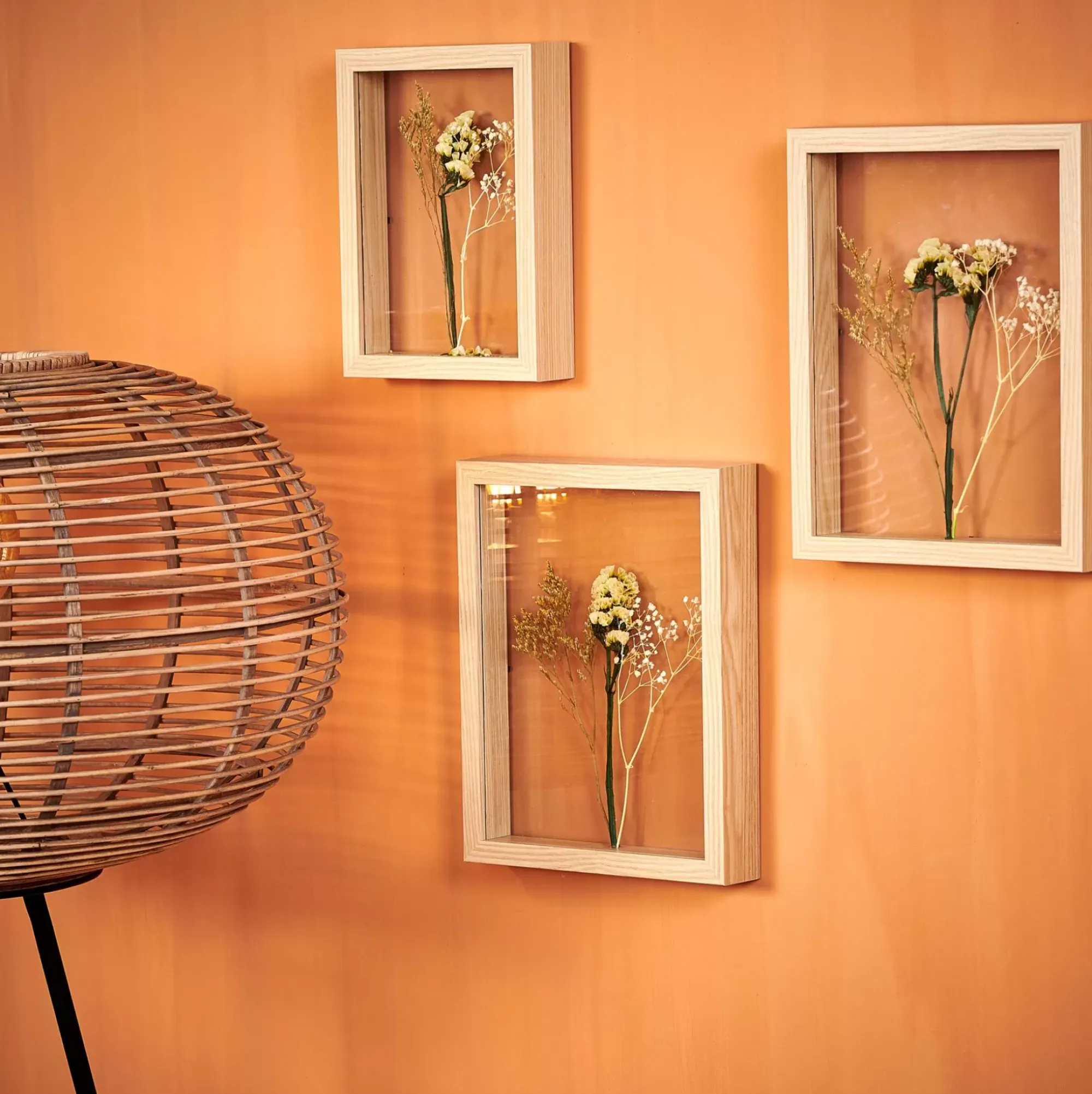 CASA Limonium Decoracion De Pared Natural Sale