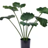 CASA Lotus Planta Verde Store
