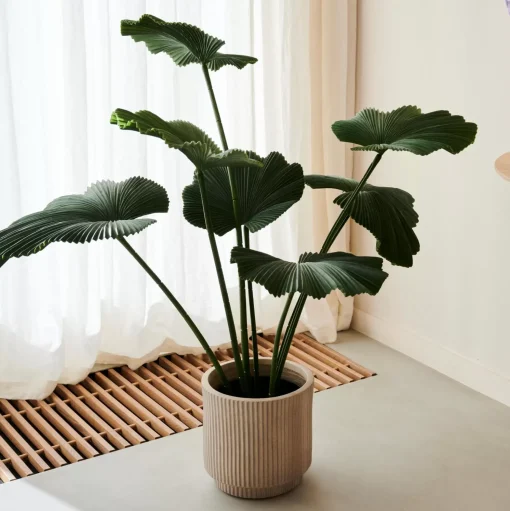 CASA Lotus Planta Verde Store