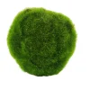 CASA Moss Bola De Musgo Verde Discount