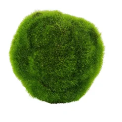 CASA Moss Bola De Musgo Verde Discount