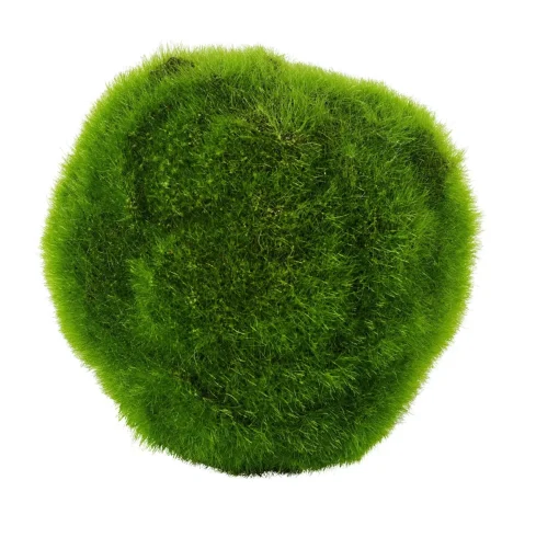 CASA Moss Bola De Musgo Verde Discount