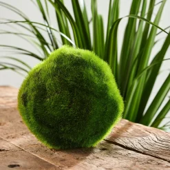 CASA Moss Bola De Musgo Verde Discount
