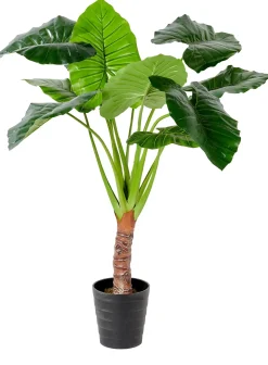 CASA Taro Planta Artificial Aro Verde Best