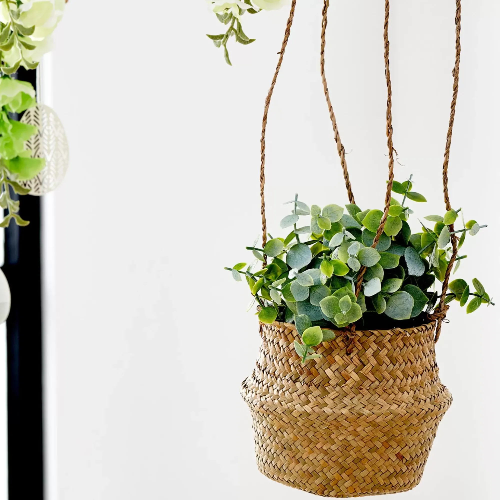 CASA Terra Planta En Maceta Blanco, Verde Cheap