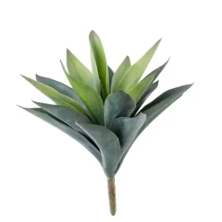 CASA Vera Planta Crasa En Un Palillo Verde Flash Sale
